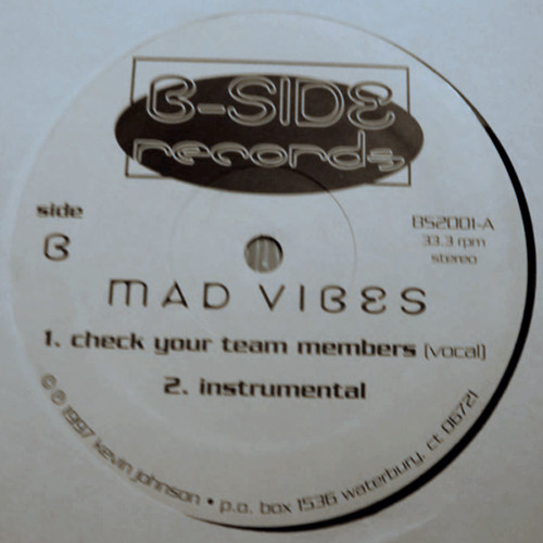 Check Your Team Members / Riches To Rags by Mad Vibes (Vinyl 1997 B